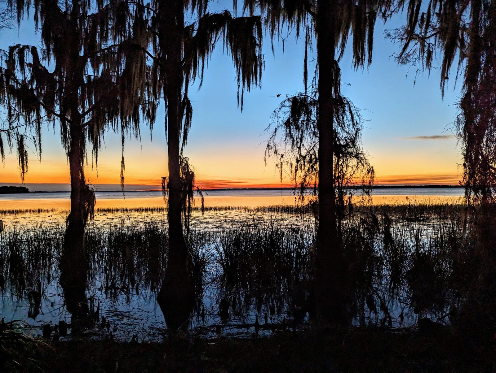 Sunset over a Central Florida lake lined with cypress trees and Spanish moss near Dr. Phillips